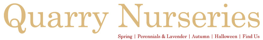 Quarry Nurseries Banbury